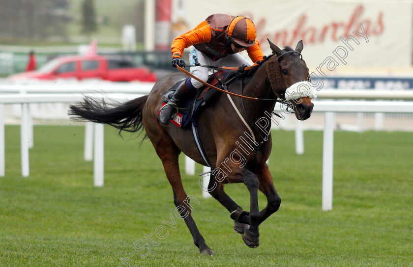 The-Young-Master-0004 
 THE YOUNG MASTER (Sam Waley-Cohen) wins The Markel Insurance Amateur Riders Handicap Chase
Cheltenham 16 Nov 2018 - Pic Steven Cargill / Racingfotos.com