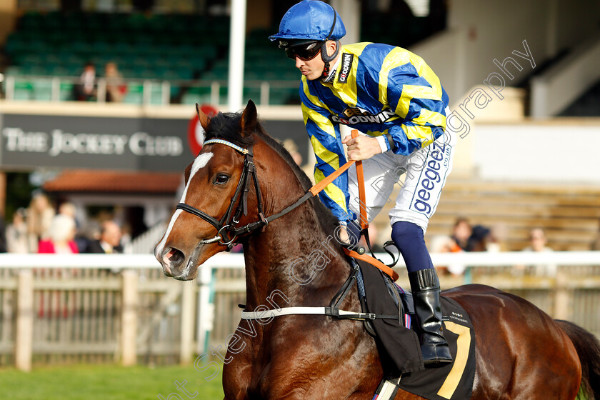 Two-Past-Eight-0001 
 TWO PAST EIGHT (David Probert)
Newmarket 29 Oct 2022 - Pic Steven Cargill / Racingfotos.com