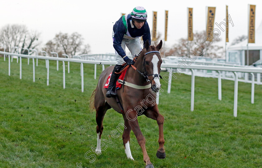 Sun-Joy-0001 
 SUN JOY (Kielan Woods)
Sandown 8 Dec 2023 - Pic Steven Cargill / Racingfotos.com