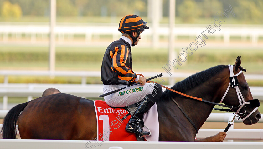 Kimbear-0001 
 KIMBEAR (Pat Dobbs) before winning The Burj Nahaar Meydan Dubai 10 Mar 2018 - Pic Steven Cargill / Racingfotos.com