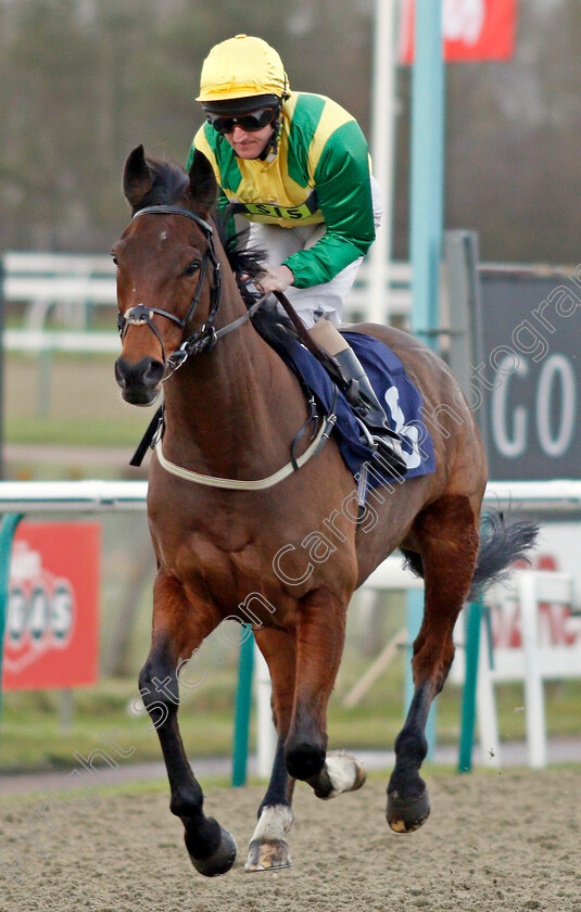 Argus-0001 
 ARGUS (Liam Keniry) Lingfield 30 Dec 2017 - Pic Steven Cargill / Racingfotos.com