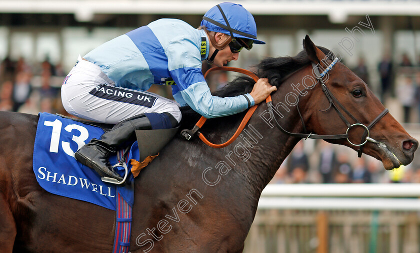 Thrave-0007 
 THRAVE (Harry Bentley) wins The Derrinstown British EBF Maiden Stakes Newmarket 29 Sep 2017 - Pic Steven Cargill / Racingfotos.com