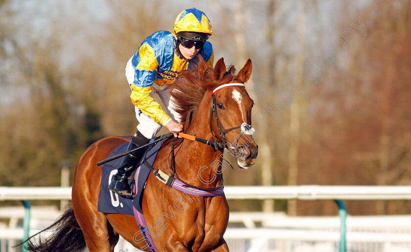 Tequilamockingbird-0001 
 TEQUILAMOCKINGBIRD (Luke Morris)
Lingfield 21 Jan 2023 - Pic Steven Cargill / Racingfotos.com