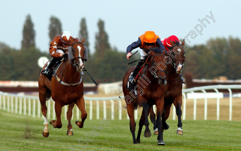 Marshal-Dan-0002 
 MARSHAL DAN (Robert Havlin) beats LUCKY LOUIE (left) in The Matthew Fedrick Farriery Handicap
Newbury 26 Jul 2018 - Pic Steven Cargill / Racingfotos.com