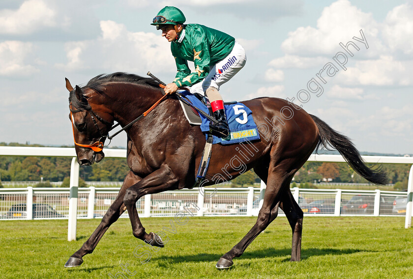 Euginio-0001 
 EUGINIO (Andrea Atzeni) Sandown 2 Sep 2017 - Pic Steven Cargill / Racingfotos.com