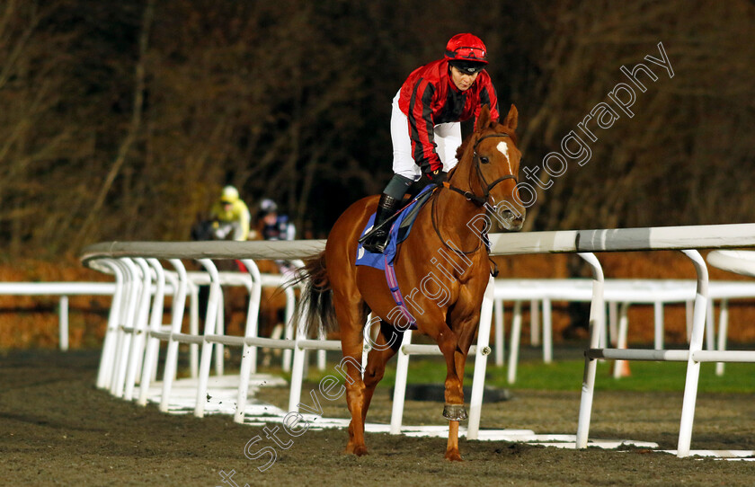 Max-Vega-0002 
 MAX VEGA (Laura Pearson)
Kempton 13 Dec 2023 - Pic Steven Cargill / Racingfotos.com