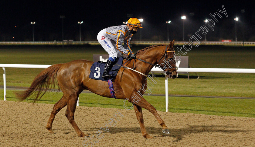 Moonbootz-0001 
 MOONBOOTZ (Megan Nicholls)
Wolverhampton 1 Feb 2021 - Pic Steven Cargill / Racingfotos.com