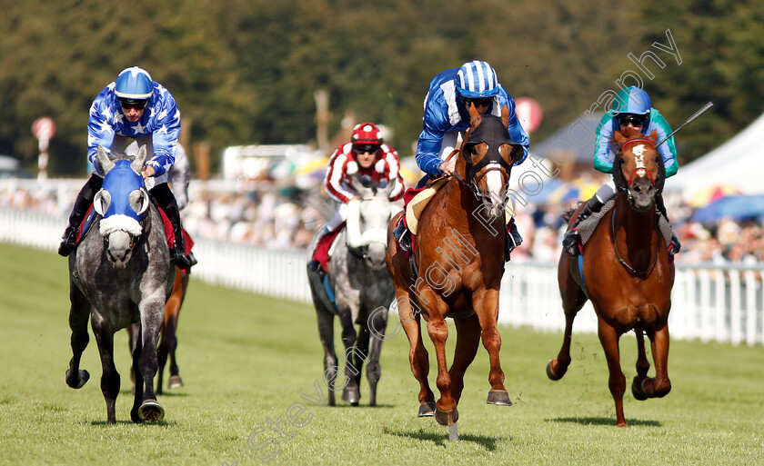 Muraaqib-0002 
 MURAAQIB (Jim Crowley) wins The Qatar International Stakes
Goodwood 1 Aug 2018 - Pic Steven Cargill / Racingfotos.com