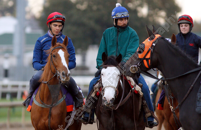 Eziyra-0002 
 EZIYRA exercising ahead of The Breeders' Cup Filly & Mare Turf
Churchill Downs USA 30 Oct 2018 - Pic Steven Cargill / Racingfotos.com