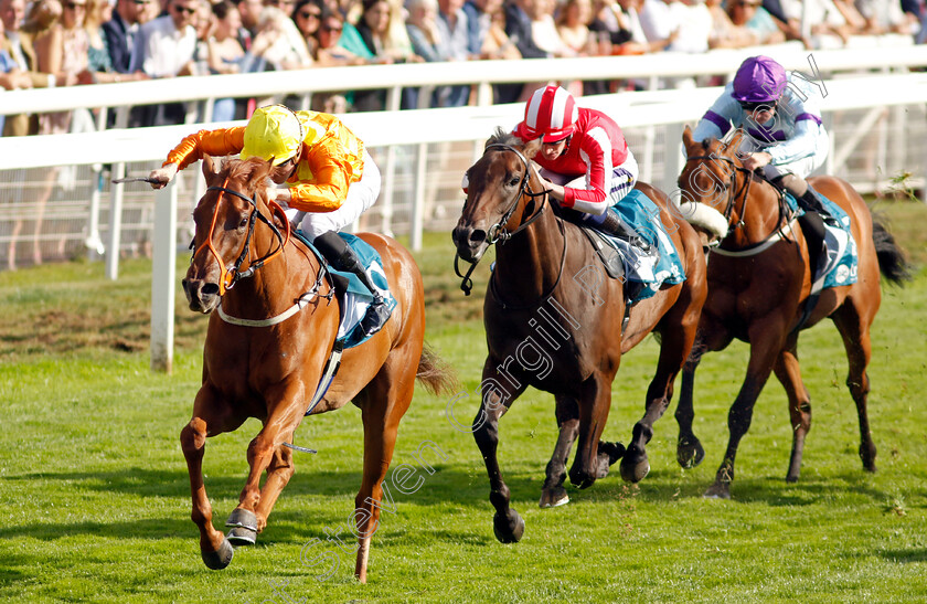 Treasure-Trove-0004 
 TREASURE TROVE (W J Lee) beats ROCKET RODNEY (centre) in The Julia Graves Roses Stakes
York 20 Aug 2022 - Pic Steven Cargill / Racingfotos.com