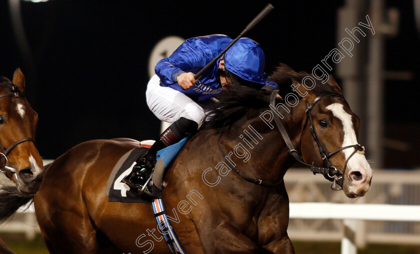 Pitcher s-Point-0003 
 PITCHER'S POINT (Robert Havlin)
Chelmsford 13 Feb 2020 - Pic Steven Cargill / Racingfotos.com