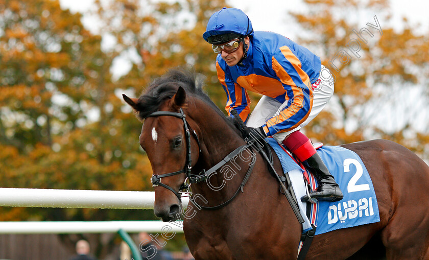 Cherokee-Trail-0001 
 CHEROKEE TRAIL (Frankie Dettori)
Newmarket 12 Oct 2019 - Pic Steven Cargill / Racingfotos.com