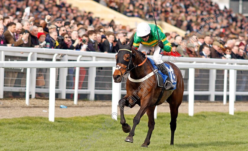 Dame-De-Compagnie-0002 
 DAME DE COMPAGNIE (Barry Geraghty) wins The Coral Cup
Cheltenham 11 Mar 2020 - Pic Steven Cargill / Racingfotos.com