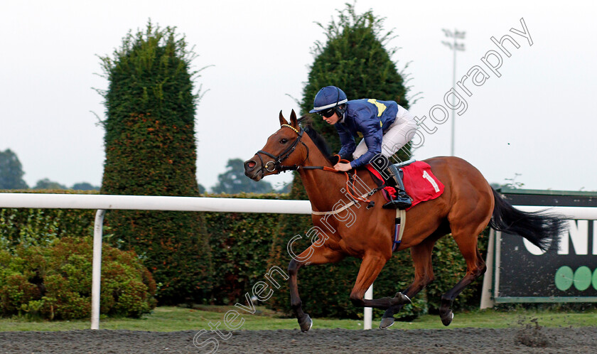 Jumbly-0005 
 JUMBLY (Saffie Osborne) wins The Longines Irish Champions Weekend EBF Confined Fillies Novice Stakes
Kempton 3 Sep 2021 - Pic Steven Cargill / Racingfotos.com