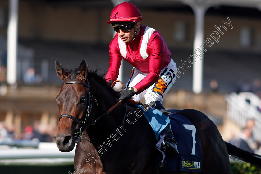 Lahore-0007 
 LAHORE (Silvestre De Sousa) wins The William Hill Get The App On Google Play Handicap Doncaster 13 Sep 2017 - Pic Steven Cargill / Racingfotos.com