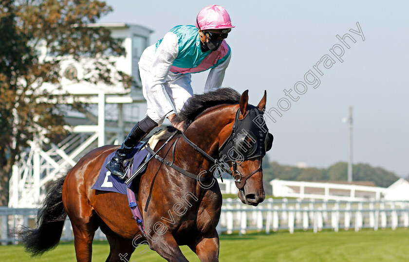 Emissary-0001 
 EMISSARY (James Doyle) winner of The Sky Sports Racing Sky 415 Handicap
Yarmouth 15 Sep 2020 - Pic Steven Cargill / Racingfotos.com