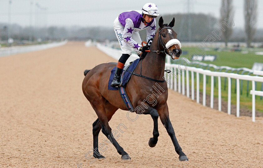 Ayr-Harbour-0001 
 AYR HARBOUR (Alistair Rawlinson)
Southwell 13 Feb 2022 - Pic Steven Cargill / Racingfotos.com