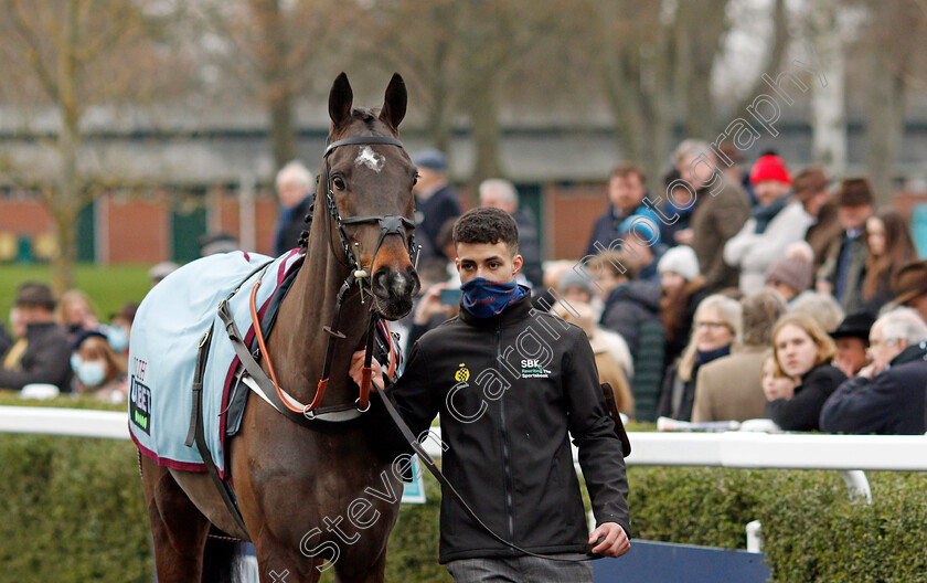 Shishkin-0004 
 SHISHKIN before The SBK Clarence House Chase
Ascot 22 Jan 2022 - Pic Steven Cargill / Racingfotos.com