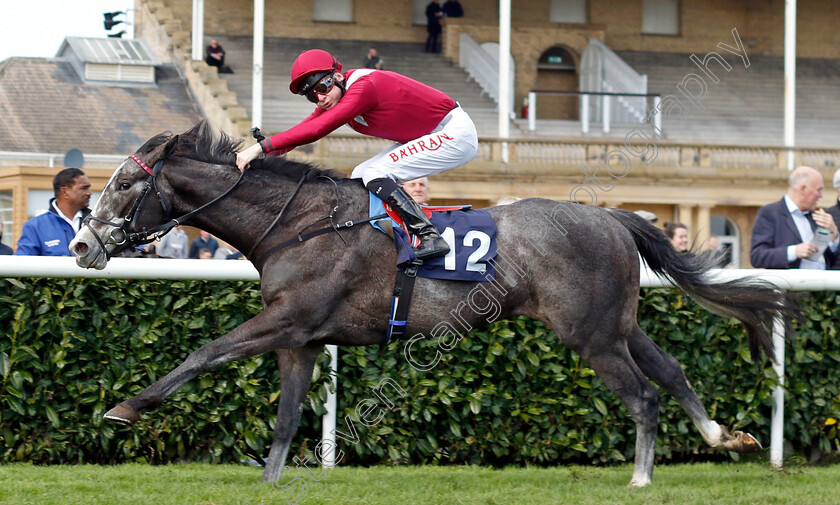 Theoryofeverything-0003 
 THEORYOFEVERYTHING (Robert Havlin) wins The Made In Doncaster St Leger Novice Stakes
Doncaster 2 Apr 2023 - Pic Steven Cargill / Racingfotos.com