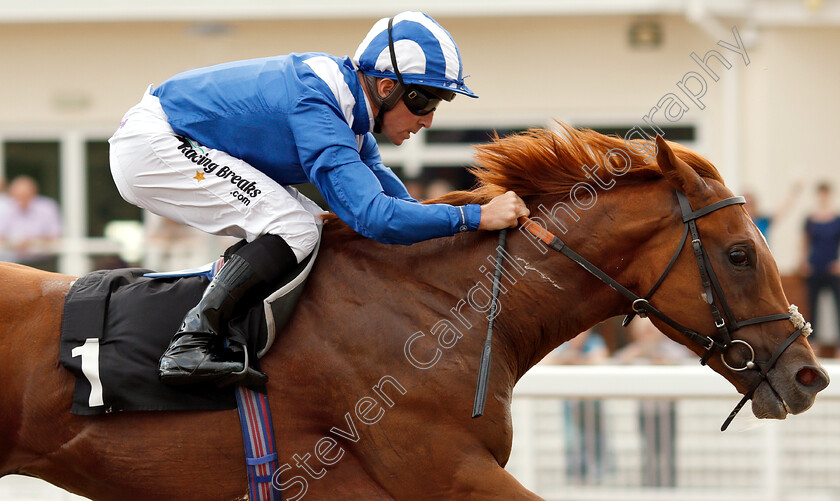 Moyassar-0007 
 MOYASSAR (Jim Crowley) wins The Hop House 13 Novice Stakes
Chelmsford 24 Jul 2018 - Pic Steven Cargill / Racingfotos.com