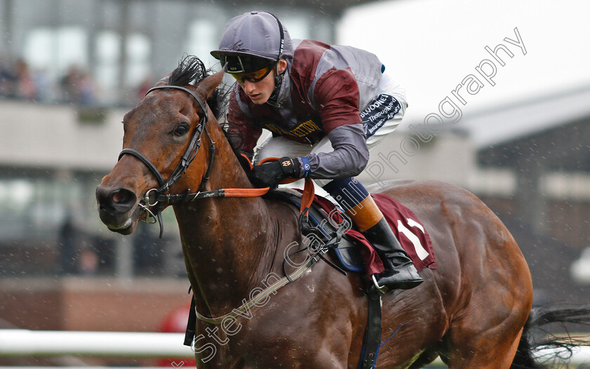 Beyond-Equal-0006 
 BEYOND EQUAL (David Egan) wins The 188bet Mobile Bet10 Get20 Handicap
Haydock 25 May 2018 - Pic Steven Cargill / Racingfotos.com