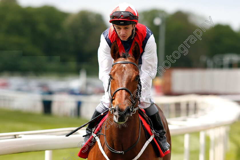 Copper-Knight-0002 
 COPPER KNIGHT (David Allan)
York 17 May 2018 - Pic Steven Cargill / Racingfotos.com