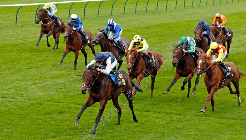 Beau-Jardine-0004 
 BEAU JARDINE (Eoin Walsh) wins The Follow Mansionbet On Instagram British EBF Novice Stakes
Newmarket 30 Oct 2020 - Pic Steven Cargill / Racingfotos.com