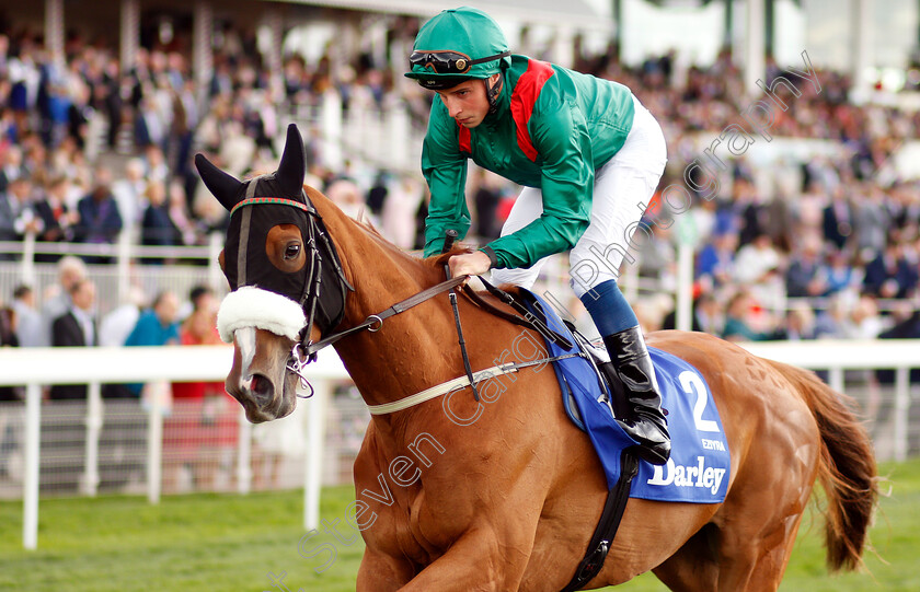 Eziyra-0001 
 EZIYRA (William Buick)
York 23 Aug 2018 - Pic Steven Cargill / Racingfotos.com