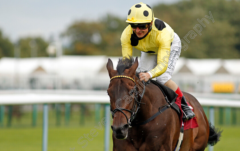 Without-A-Fight-0010 
 WITHOUT A FIGHT (Andrea Atzeni) wins The Read Ryan Moore Columns On Betting.Betfair Handicap
Haydock 3 Sep 2020 - Pic Steven Cargill / Racingfotos.com