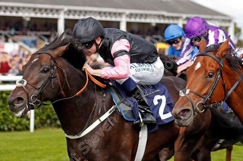 Aclaim-0002 
 ACLAIM (Oisin Murphy) wins The Alan Wood Plumbing And Heating Park Stakes Doncaster 16 Sep 2017 - Pic Steven Cargill / Racingfotos.com