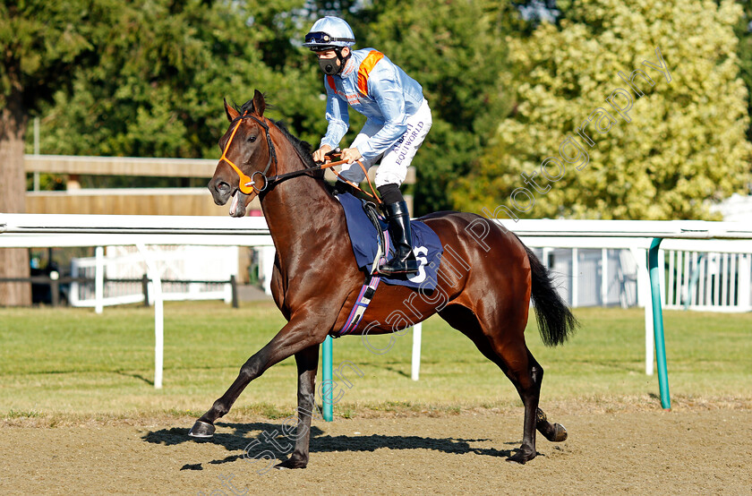 Four-Clubs-0001 
 FOUR CLUBS (Pat Dobbs)
Lingfield 4 Aug 2020 - Pic Steven Cargill / Racingfotos.com