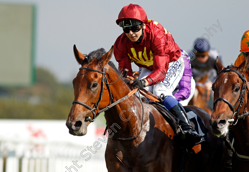 War-Horse-0007 
 WAR HORSE (Marco Ghiani) wins The Ryan Canter Club Future Stayers EBF Maiden Stakes
Goodwood 22 Sep 2021 - Pic Steven Cargill / Racingfotos.com