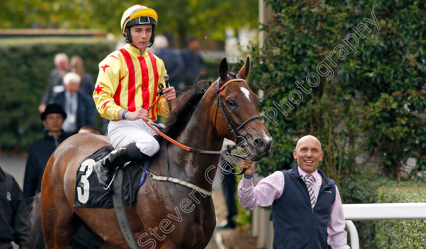 Francis-Xavier-0006 
 FRANCIS XAVIER (Rossa Ryan) after The Victoria Racing Club Handicap
Ascot 6 Sep 2019 - Pic Steven Cargill / Racingfotos.com