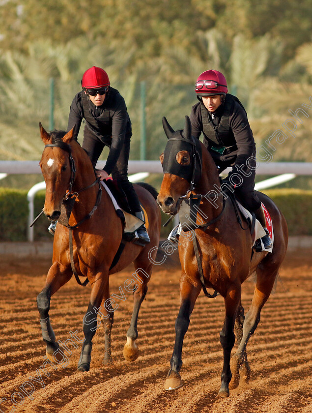 Tower-Of-London-and-Luxembourg-0001 
 TOWER OF LONDON (right) with LUXEMBOURG (left) training at The Saudi Cup
King Abdulaziz Racecourse, Saudi Arabia 20 Feb 2024 - Pic Steven Cargill / Racingfotos.com