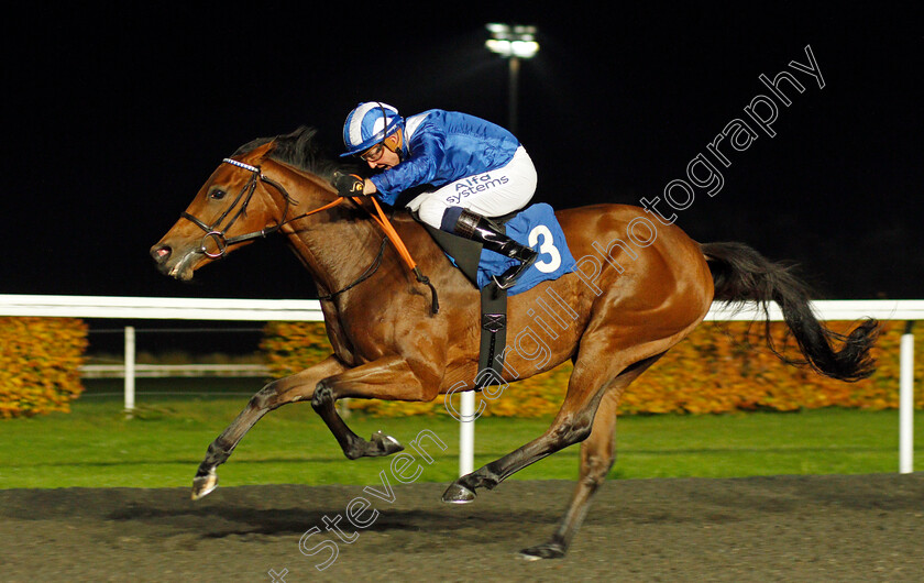 Al-Husn-0005 
 AL HUSN (Jim Crowley) wins The Unibet British Stallion Studs EBF Fillies Novice Stakes Div1
Kempton 10 Nov 2021 - Pic Steven Cargill / Racingfotos.com