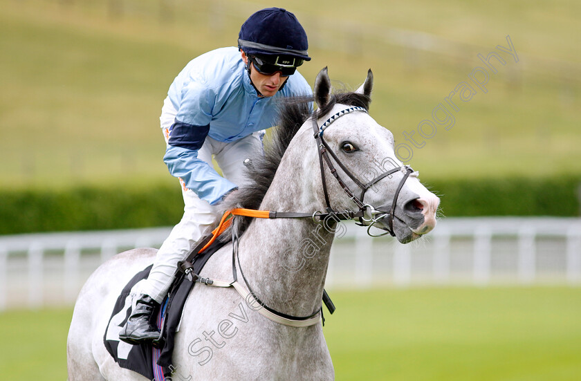 Rawyaan 
 RAWYAAN (Trevor Whelan)
Goodwood 20 May 2022 - Pic Steven Cargill / Racingfotos.com