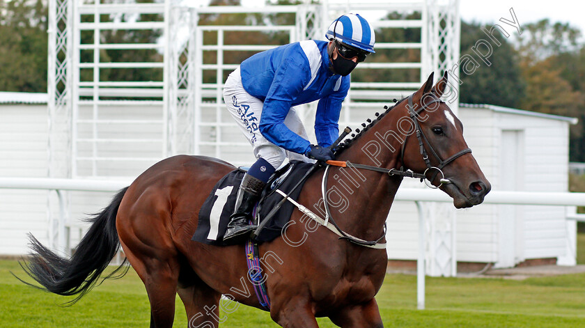 Mutazawwed-0001 
 MUTAZAWWED (Jim Crowley)
Goodwood 11 Oct 2020 - Pic Steven Cargill / Racingfotos.com