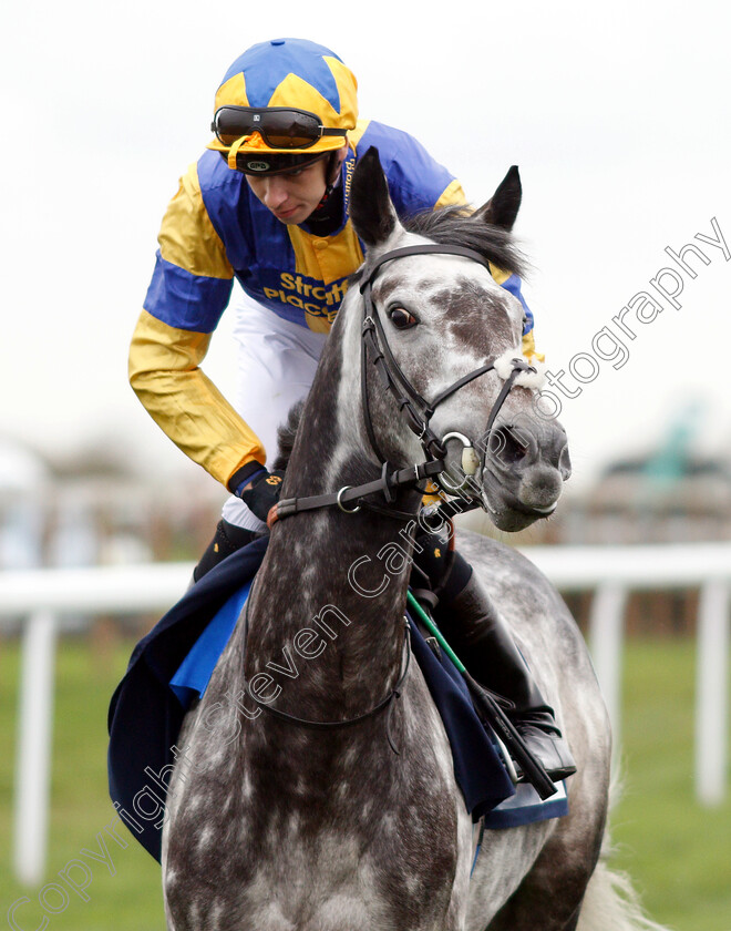 Graceland-0001 
 GRACELAND (Louis Steward)
Bath 17 Oct 2018 - Pic Steven Cargill / Racingfotos.com