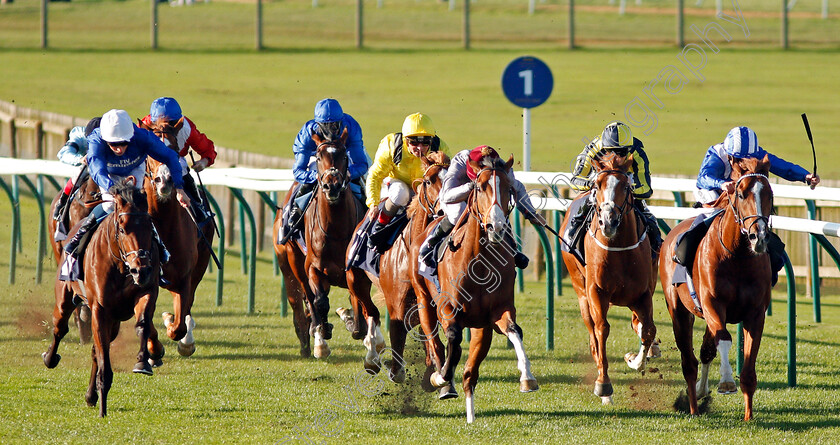 Key-Victory-0001 
 KEY VICTORY (left, William Buick) beats QAYSAR (centre) and ELWAZIR (right) in The 32Red.com Novice Stakes Newmarket 25 Oct 2017 - Pic Steven Cargill / Racingfotos.com