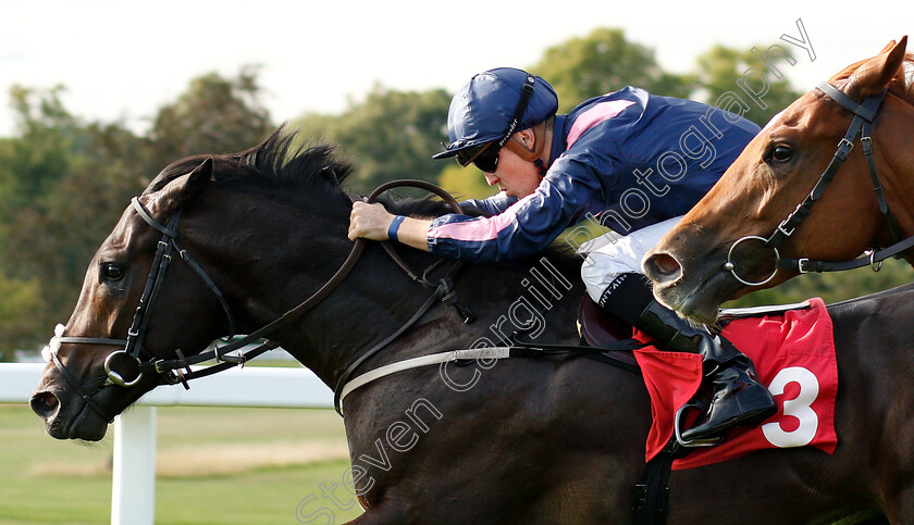 Master-Mcgrath-0006 
 MASTER MCGRATH (Kevin Stott) wins The Slug And Lettuce Christmas Party EBF Maiden Stakes
Sandown 8 Aug 2019 - Pic Steven Cargill / Racingfotos.com