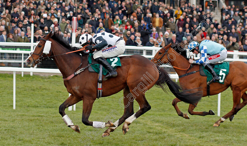 Gino-Trail-0007 
 GINO TRAIL (Harry Skelton) wins The Junior Jumpers Handicap Chase Cheltenham 16 Dec 2017 - Pic Steven Cargill / Racingfotos.com