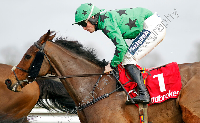 Ashdale-Bob-0001 
 ASHDALE BOB (James Bowen)
Kempton 22 Feb 2025 - Pic Steven Cargill / Racingfotos.com