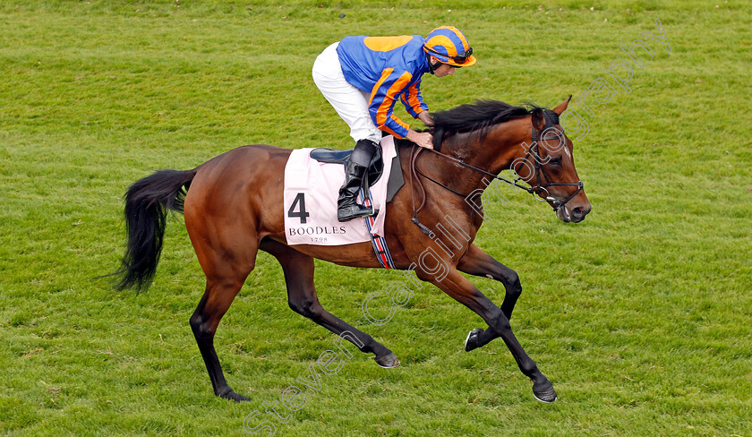 Grosvenor-Square-0001 
 GROSVENOR SQUARE (Ryan Moore)
Chester 8 May 2024 - Pic Steven Cargill / Racingfotos.com