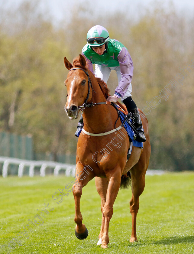 Lihou-0005 
 LIHOU (Rossa Ryan) winner of The Indigenous Handicap
Epsom 25 Apr 2023 - Pic Steven Cargill / Racingfotos.com