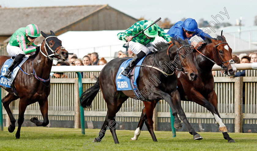 Abel-Handy-0001 
 ABEL HANDY (left, James Doyle) beats SOUND AND SILENCE (right) in The Newmarket Academy Godolphin Beacon Project Cornwallis Stakes Newmarket 13 Oct 2017 - Pic Steven Cargill / Racingfotos.com