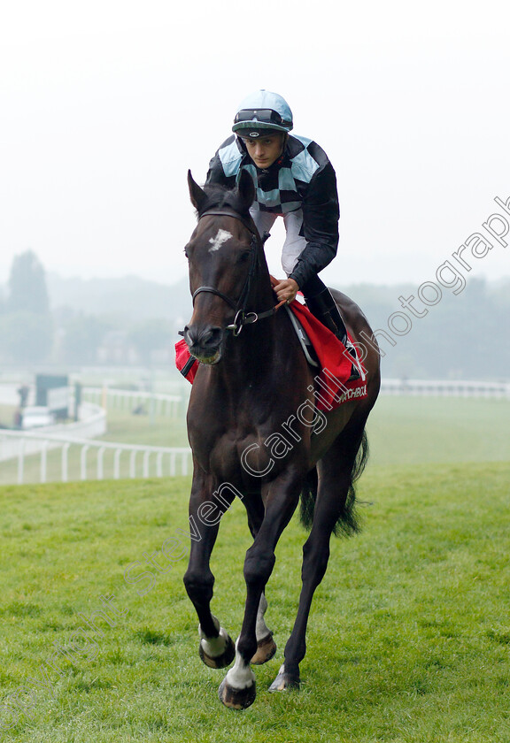 Air-Pilot-0001 
 AIR PILOT (Harry Bentley)
Sandown 24 May 2018 - Pic Steven Cargill / Racingfotos.com