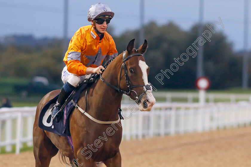 External-Capital-0001 
 EXTERNAL CAPITAL (Joey Haynes)
Southwell 4 Oct 2022 - Pic Steven Cargill / Racingfotos.com