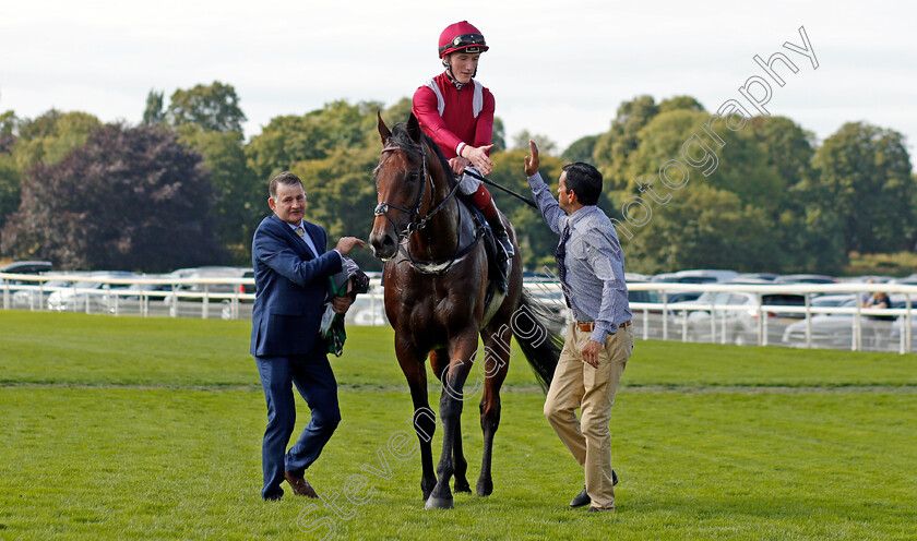 Mishriff-0007 
 MISHRIFF (David Egan) after The Juddmonte International
York 18 Aug 2021 - Pic Steven Cargill / Racingfotos.com