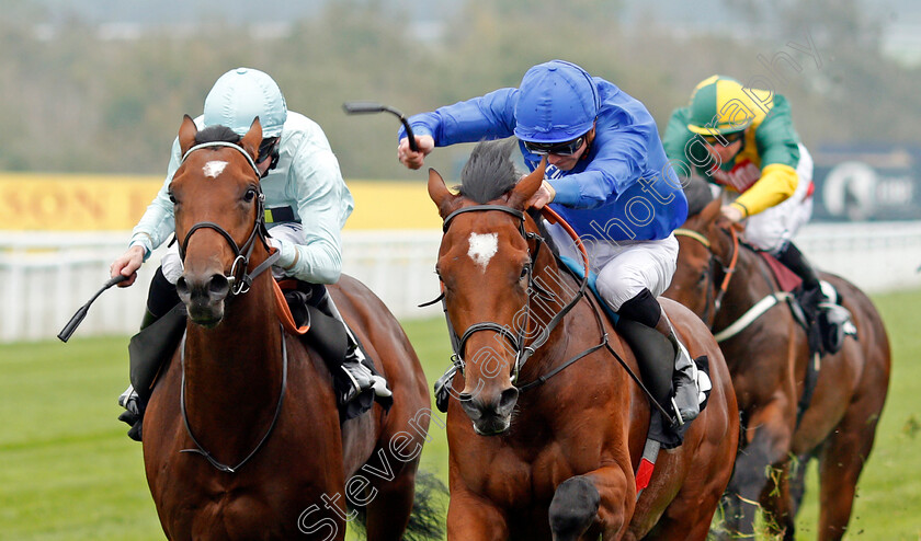 Setting-Sail-0003 
 SETTING SAIL (right, James Doyle) beats MT AUGUSTUS (left) in The Get 1/4 Odds At 188bet Future Stayers Maiden Stakes Goodwood 27 Sep2017 - Pic Steven Cargill / Racingfotos.com