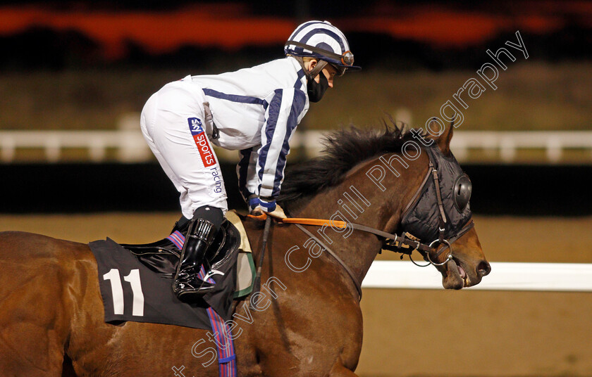 Grandfather-Tom-0001 
 GRANDFATHER TOM (Hollie Doyle)
Chelmsford 8 Oct 2020 - Pic Steven Cargill / Racingfotos.com